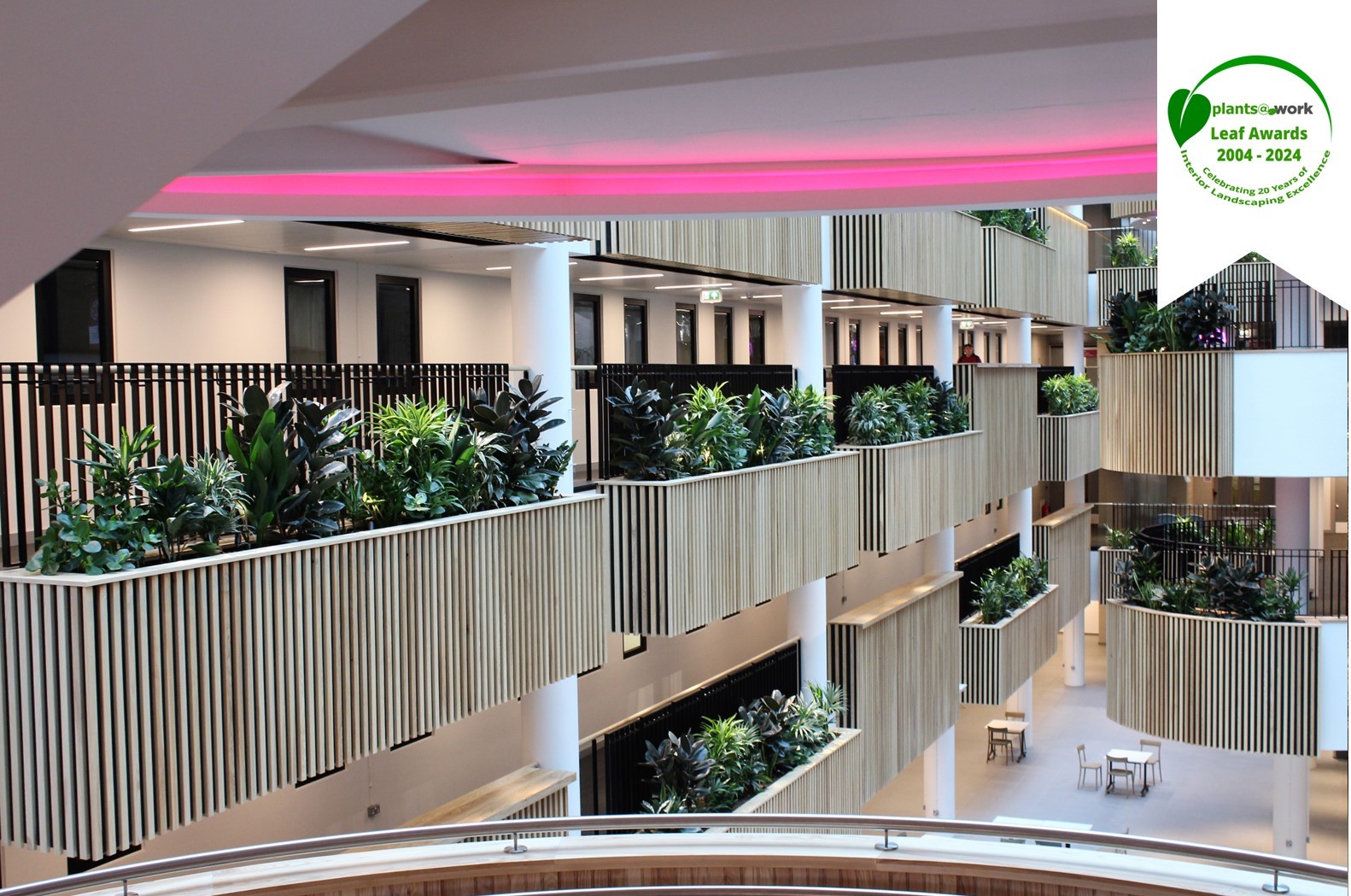 sheffield uni with logo